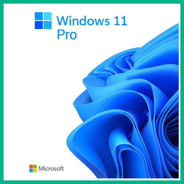 MICROSOFT WINDOWS 11 PRO 64BIT TURKCE OEM FQC-10556