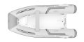 RIB 310