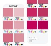 Pantone CMYK  Coated & Uncoated ( GP5101C)