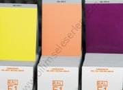 Ral E1 Effect