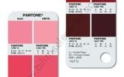Pantone Bridge Couted / Uncoated - 112 Yeni İlave Renkler GP6102-SUPL