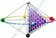 NCS Atlas 2050