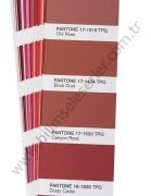 Pantone Tekstil Color Guide  FHIP110A - Tpg 315 Yeni Renk İlaveli