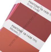 Pantone Tekstil Color Guide  FHIP110A - Tpg 315 Yeni Renk İlaveli