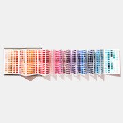 Pantone Tekstil Cotton Passport FHIC200A - 315 Yeni Renk İlaveli