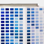 Pantone Tekstil Cotton Passport FHIC200A - 315 Yeni Renk İlaveli