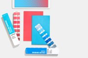 Pantone Color Bridge Guide Set | Coated & Uncoated GP6102 ( Yeni 294 Renk İlaveli )