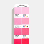 Pantone Color Bridge Guide Set | Coated & Uncoated GP6102 ( Yeni 294 Renk İlaveli )