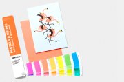 Pantone Pastels & Neons Guide | Coated & Uncoated  GG1504A