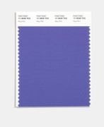 PANTONE  17-3938 TCX  Very Peri