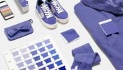 PANTONE  17-3938 TCX  Very Peri
