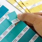 Pantone Color Specifier + Dualities Expansion Pack  FHIP210C