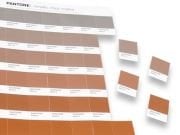 Pantone Premium Metallics Chips Coated GB1507A