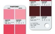 Pantone Color Bridge Uncoated (112 Yeni Renk İlaveli ) GG6104N