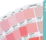 Pantone Color Bridge Uncoated (112 Yeni Renk İlaveli ) GG6104N