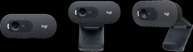 LOGİTECH C505 HD UZUN MESAFELİ MİKROFONLU WEB KAMERASI -SİYAH 960-001364 V-U0018