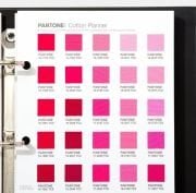YENİ EK 175 RENK  Pantone Cotton Planner