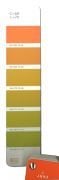 Ral D2 Design System Plus ( İleve Renkler Dahil )