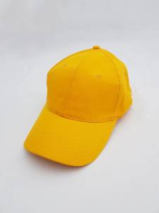 Sarı Siperli Şapka
