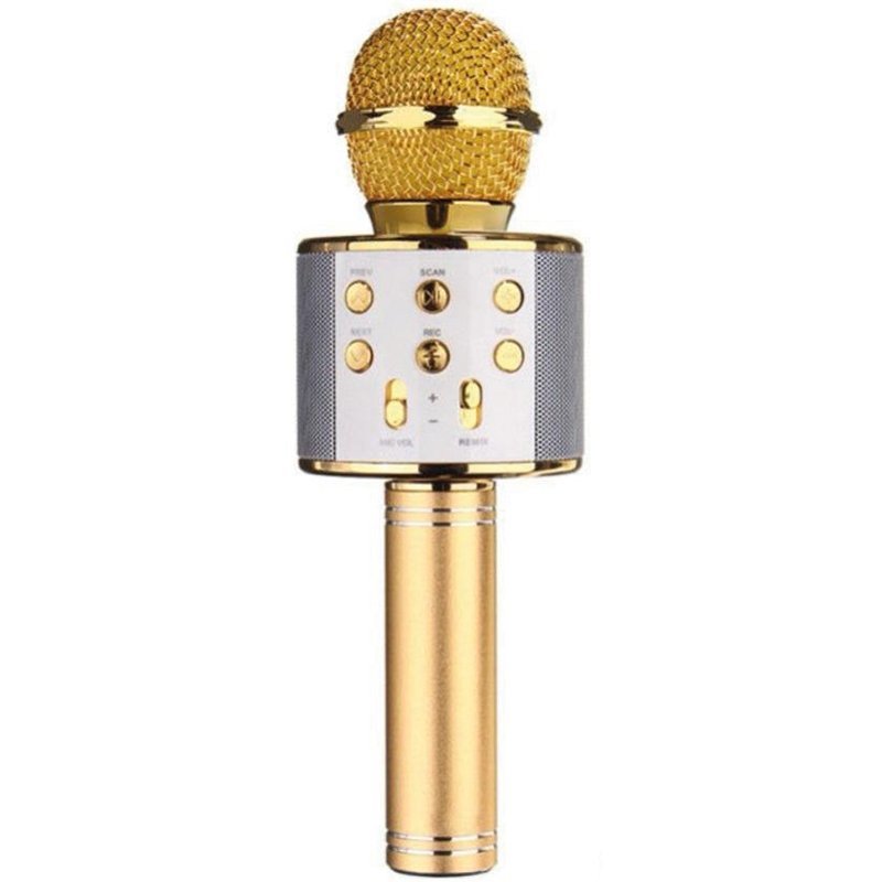 Wster WS-858 Bluetooth-SD-Aux Kablosuz Karaoke Mikrofon (Gold)
