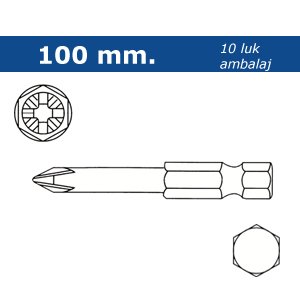 PROSCR BITS UÇ 100 mm PZ2
