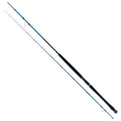 Ryuji Shore Game Fuji 2.85m 25-85gr 2P Shore Jig Kamış