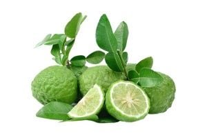 Bergamot Ağacı Kaç Günde 1 Sulanır?