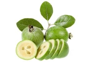 Feijoa Fidanı Nerelerde Yetişir?