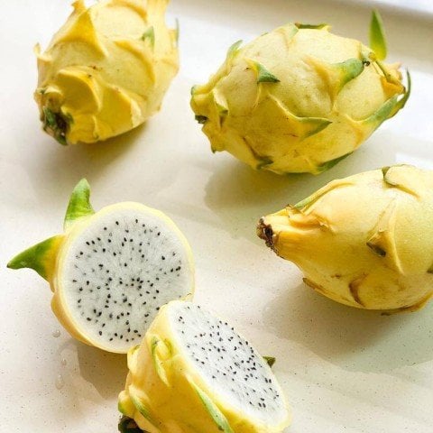 Tüplü Palora Sarı Pitaya Yellow Dragon Fruit Ejder Meyvesi Fidanı