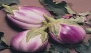 Doğal Rosa Bianca Patlıcan Tohumu(20 adet)