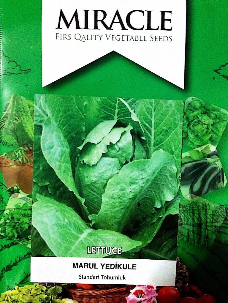 Geniş Yapraklı Yedikule Marul Tohumu (100 gram)
