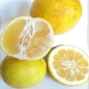 Tüplü Seneye Meyve Verecek Formda Tatlı Limon Şeker Limon Fidanı(Sınırlı Stok)