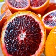 Bodur Tipte Çok Dallı Tüplü Kan Portakalı Fidanı