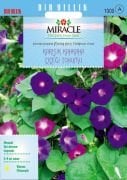 Miracle Karışık Fielgrown Kahkaha Çiçeği Tohumu (10 tohum)