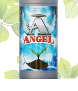 Angel Aminoasitli Sıvı Deniz Yosunu