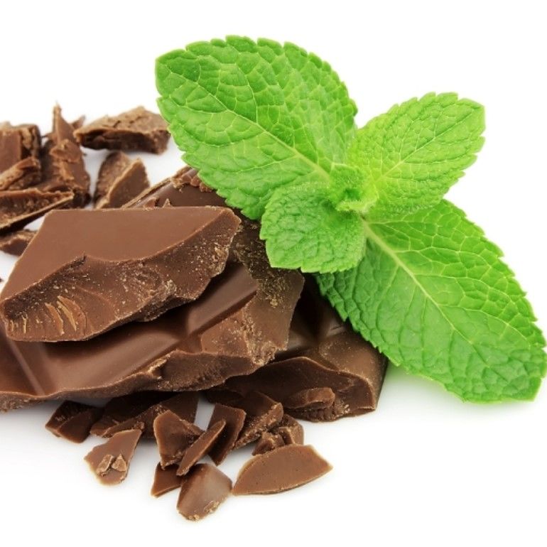 Chocolate Çikolata Kokulu Nane Fidesi (2 adet)