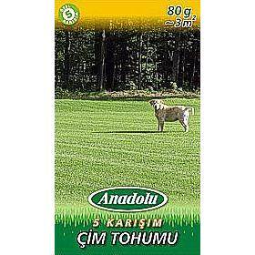 Anadolu Tohum Beş Karışım Çim Tohumu (150gr)