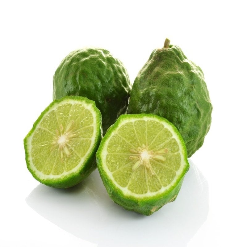 Nadir Tüplü Kaffir Lime Fidanı