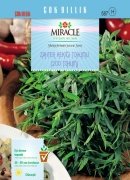 Miracle Zahter Kekiği Tohumu (200 tohum)