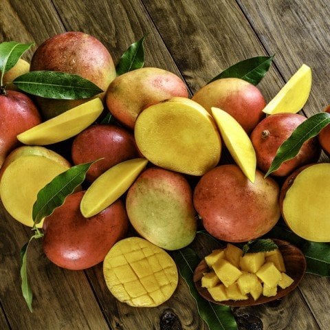 Tüplü Aşılı Mango Fidanı (Meyve Verme Durumunda)