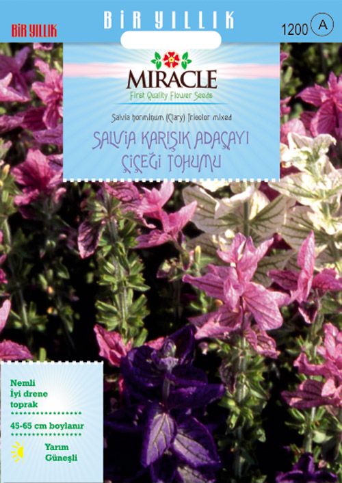 Miracle Salvia Horminum Karışık Renkli Adaçayı Çiçeği Tohumu (350 tohum)