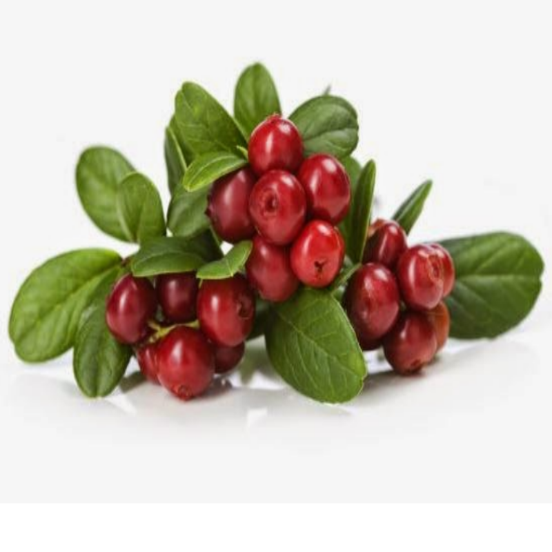Doğal Cranberry Tohumu( 5 adet)