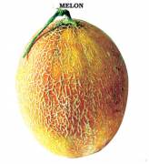 Ananas Kavun Tohumu (4 gram)