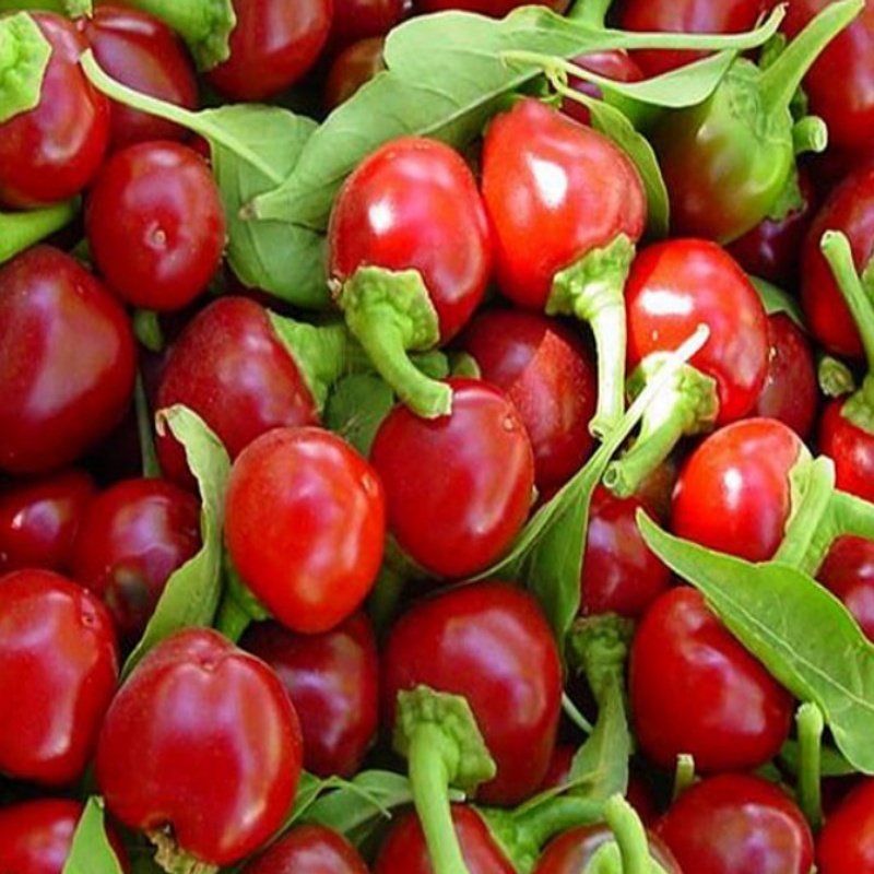 Doğal Acı Cherry Biber Tohumu(20 tohum)