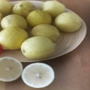 Tüplü Yoğun Kokulu Finike Beyaz Limon Fidanı