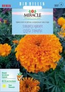 Miracle Turuncu Kadife Çiçeği Tohumu(100 tohum)