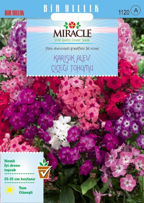 Miracle Karışık Renkli Alev Çiçeği Tohumu(340 tohum)