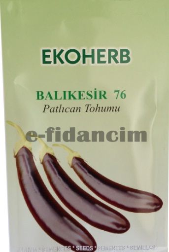 Organik İlaçsız Balıkesir 76 Patlıcan Tohumu(2 gram)