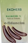 Organik İlaçsız Balıkesir 76 Patlıcan Tohumu(2 gram)