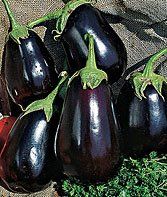 Geleneksel  Fingerlins Siyah Patlıcan Tohumu(20 tohum)